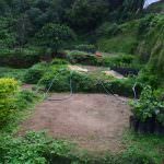 Subashini Plant Nursery