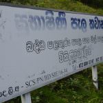 Subashini Plant Nursery