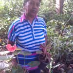 සම්පත් මල් ,විසිතුරු පැල (Pubudu Flower Nursery)