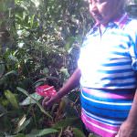 සම්පත් මල් ,විසිතුරු පැල (Pubudu Flower Nursery)