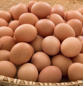 Nikapotha Eggs