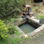 නිසංසල හරිතාගාර නිෂ්පාදන