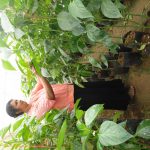 මල්ලිකා හරිතාගාර නිෂ්පාදන