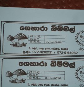 ෂෙහාරා බිම්මල්