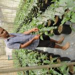 උපේක්ෂා හරිතාගාර නිෂ්පාදන