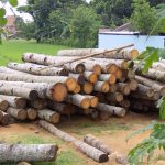 Gunaraththne Timber Products