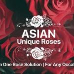 Asian Unique Roses
