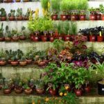World Of Flora
