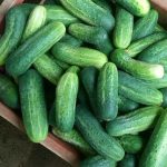Nishantha Agro Products