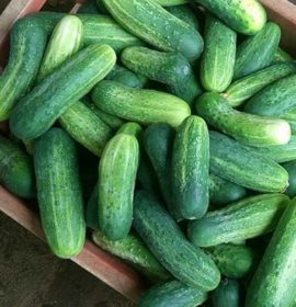 Nishantha Agro Products