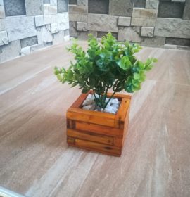 Nimsara collection