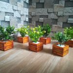 Nimsara collection