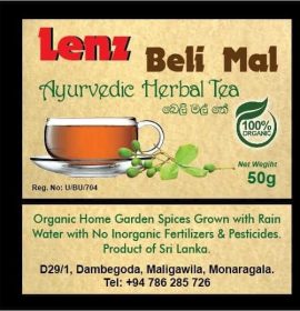 Lenz Holdings