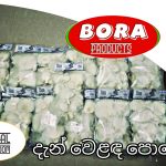 Bibile