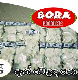 Bibile