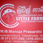Little Farm Mushrooms