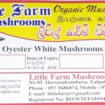 Little Farm Mushrooms