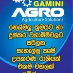 New Gamini Agro