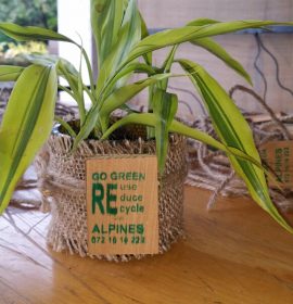 ALPINES AGRO INVESTMENT (PVT) LTD