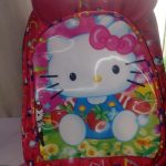 Shanu Bags