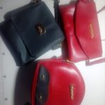 Shanu Bags