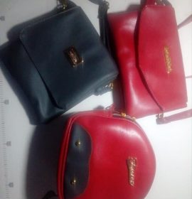 Shanu Bags