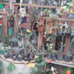 Write Flower – Ella