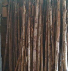 Radaliyadda
