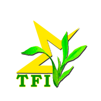 තරු ෆ්ලෝරා
