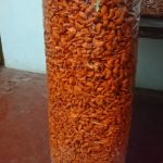 තරංගනී නිෂ්පාදන