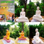 අශාන් නුවන්ත Art