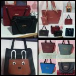 NIRO COLLECTION