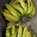 Velan fresh fruit