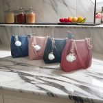 Shanu bags