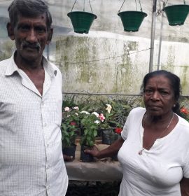 viliam visithuru mal