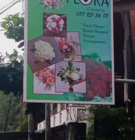 Sinadee Flora
