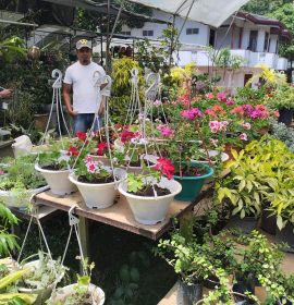 Vindiv Flower House