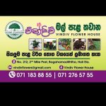 Vindiv Flower House Vindiv Flower House