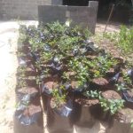 සන්සිත් ලංකා ඇග්‍රි සොලූෂන් ඇන්ඩ් මාකටින්