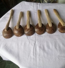 පොල් කටු ආශ්‍රිත නිර්මාණ