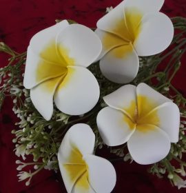 Anu ‘s flowers creations, Gageyaya