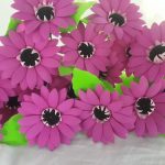 Anu ‘s flowers creations, Gageyaya