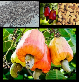 KESHALA CASHEW PRODUCTS
