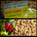 KESHALA CASHEW PRODUCTS