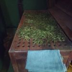 Senkadagala Suwa arana