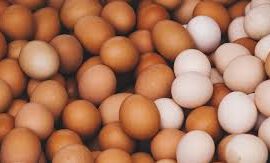 කැලිවැස්ස ෆාම්