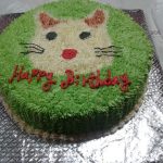 Home made Cake desighns
