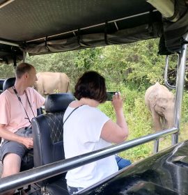 Premadasa Safari Udawalawa