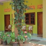 Elephant Fence Guest & safari service