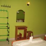 Elephant Fence Guest & safari service